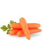 ingredient-carrots